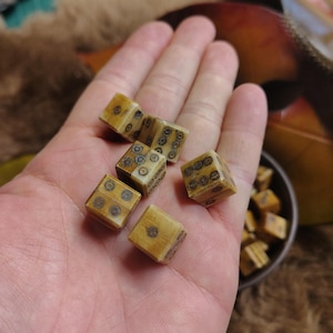 Buffalo Bone Dice: 10mm Carved Bullseye Pips, Yahtzee Dice