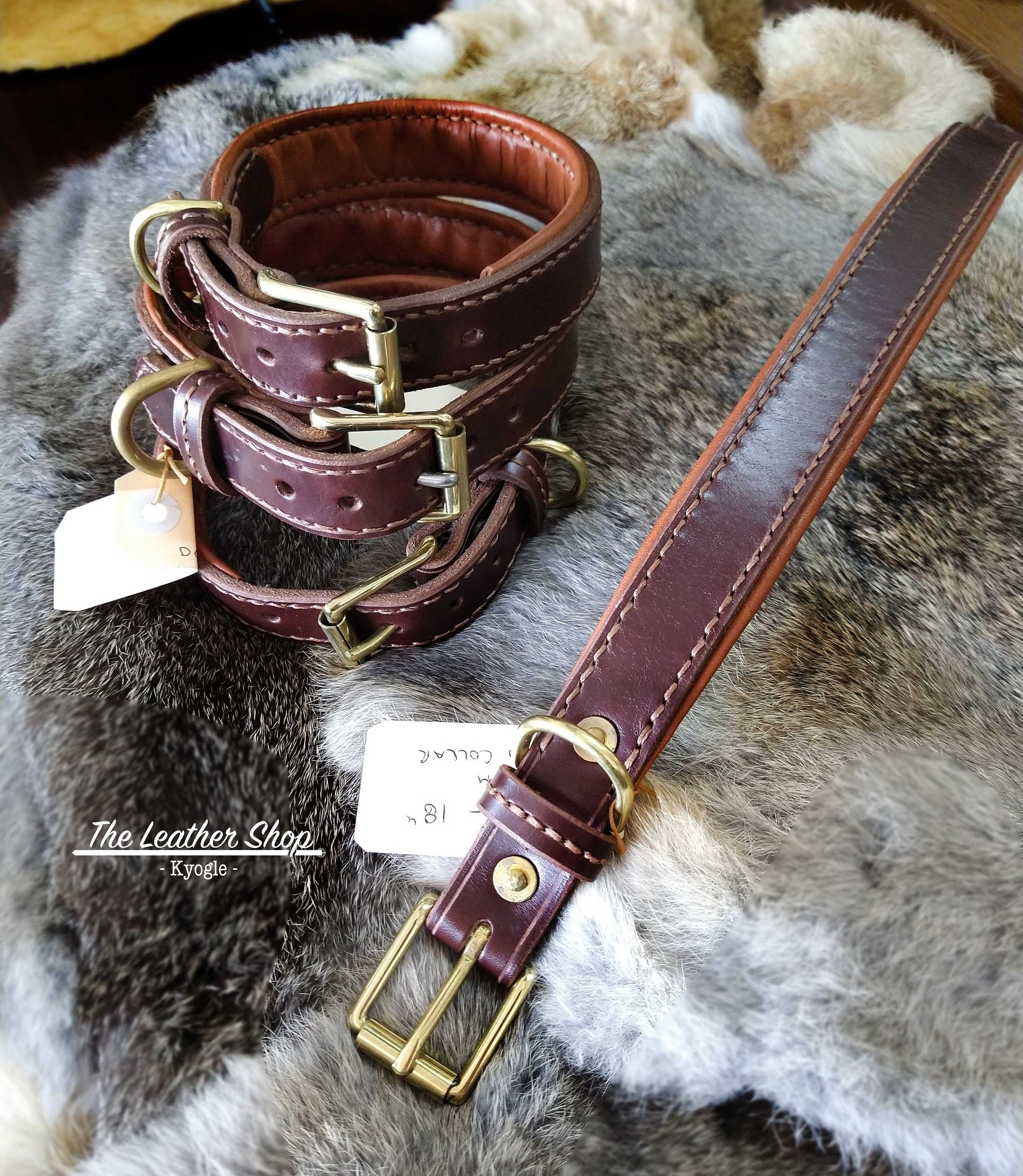 premium dog collars