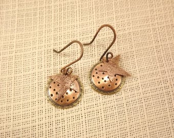 Copper and Brass Disc Earrings with a Star