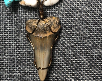 Fossil Great White Shark Tooth Pendant and beaded necklace, gift box included