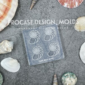 Puede incluir: Un molde de silicona transparente con cuatro formas de concha de nautilus. El molde está sobre un fondo gris con conchas esparcidas alrededor. El texto "PROCASE.DESIGN_MOLDS HANDMADE SILICONE MOLDS" está impreso en el molde.
