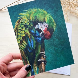 Ręcznie rysowana papuga Ara Ptak Papeteria Karta Pastelowa i Akwarela Ilustracja