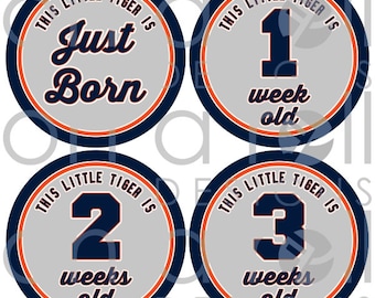 Who's Your Tiger Baby Milestone Stickers (Just Born-1 Year Old) - Instant Digital Download