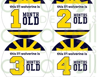 Go Blue Baby Milestone Stickers (Just Born-1 Year Old) - Instant Digital Download