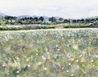 THISTLEDOWN MEADOW - Watercolour Original Painting - Landscape Flowers Green Art Countryside Scene