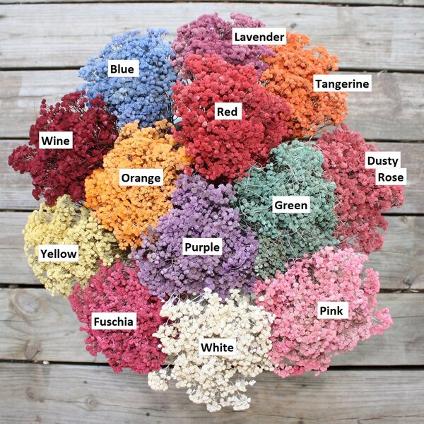 Mountain Mint (Dried Flowers)