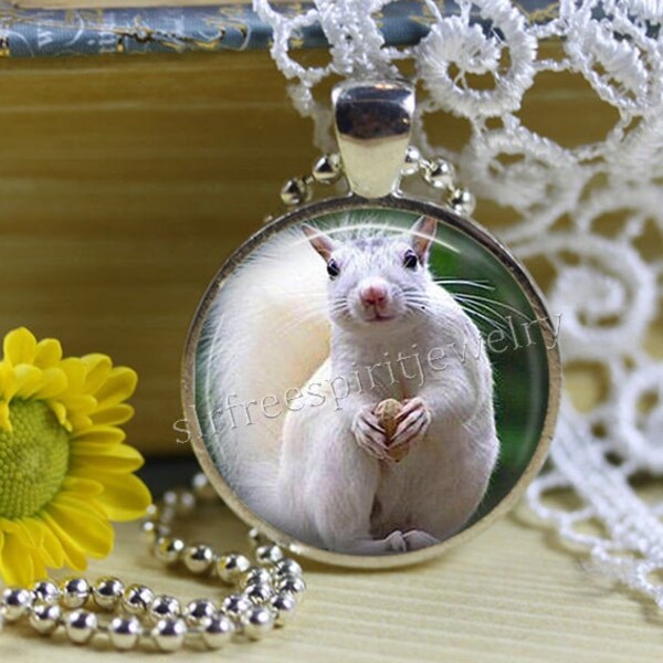 Albino Squirrel Necklace, Animal jewelry, Nature, Rare,  White Squirrel,  Photo Glass Cabochon necklace, gift, Small animals