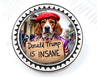Anti-Trump Pin, Donald Trump is Insane pin, Dog Wisdom, Resistance Movement, protest buttons, Defending Democracy, unique political jewelry