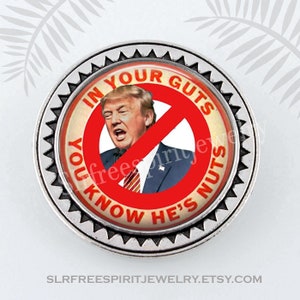Anti-Trump Pins, 2020 Election, Political Art, Political Jewelry, Democrat button, Defeat Trump