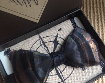 bow tie turkey feather