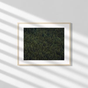 Evergreen Forest Mountainside Digital Download | Printable Tree Photo, Forest Decor Photo, Mountain Trees Photo, Pacific Northwest Photo