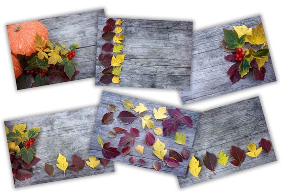 Flat Lay Mockup Red And Green Leaves On Rustic