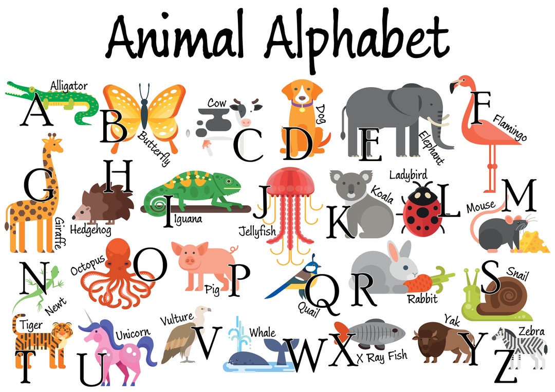 Animal Alphabet Print Digital File - Etsy Australia Animal Alphabet Print Digital File - Etsy Australia