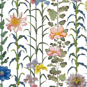 Christian LaCroix-Designers Guild Fabric, &quot;Selam-Jais” Sapphire Blue, Black-Floral Pattern-Printed Silk-Jane Hall Design