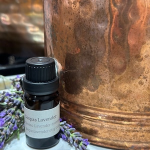 May include: A small, dark brown glass bottle with a black cap and a white label that reads "Gospas Lavender Grosso Lavender essential oil gospaslavender.etsy.com". The bottle is sitting on a white surface next to a sprig of lavender.