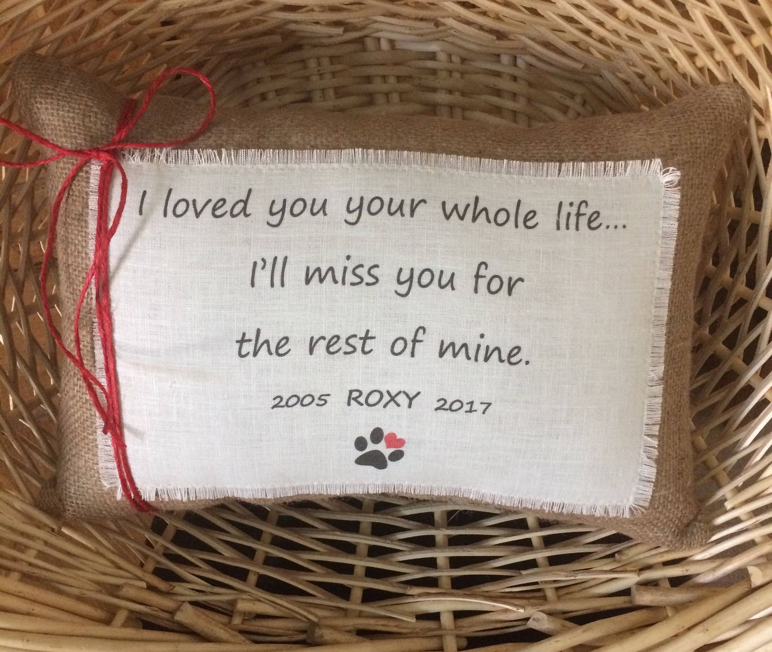 Personalized Pet Memorial Keepsake Pillowdog Cat Losspet Etsy
