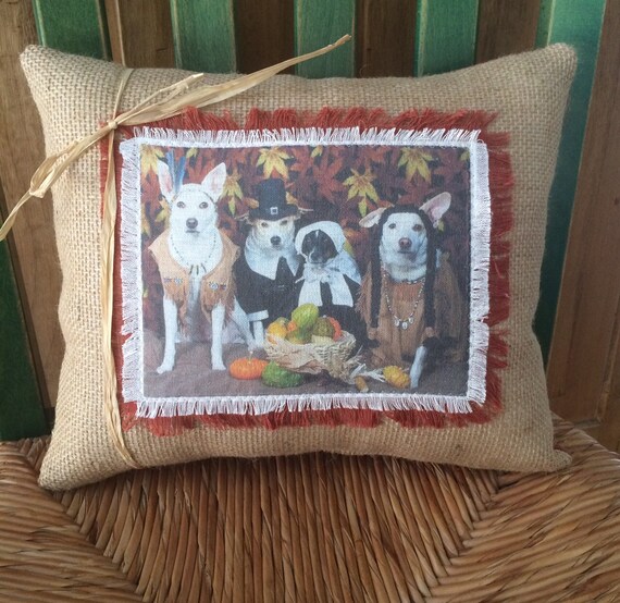 Costume Dog Printed Decorative Throw Pillow Costume Dog Printed Decorative Throw Pillow