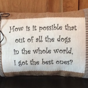 May include: A brown burlap pillow with white and brown striped fabric accents. The pillow has a white fabric panel with the text "How is it possible that out of all the dogs in the whole world, I got the best ones?" printed in black.