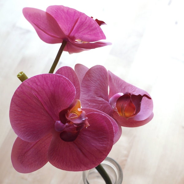 Bourgogne Moth Orchid Sprig (FC0030-03) | fleur artificielle - bouquet rose de mariage - coureur de table rose - coureur d’allée - décor rose de chambre à coucher