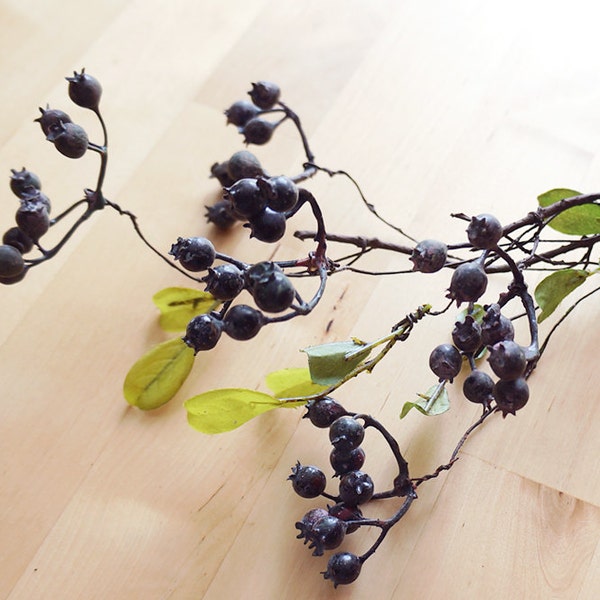 Rustic Black Berries (FD0014-02) | artificial flower – flower crown – black  wedding décor – hair crown – black home decor – black wreath
