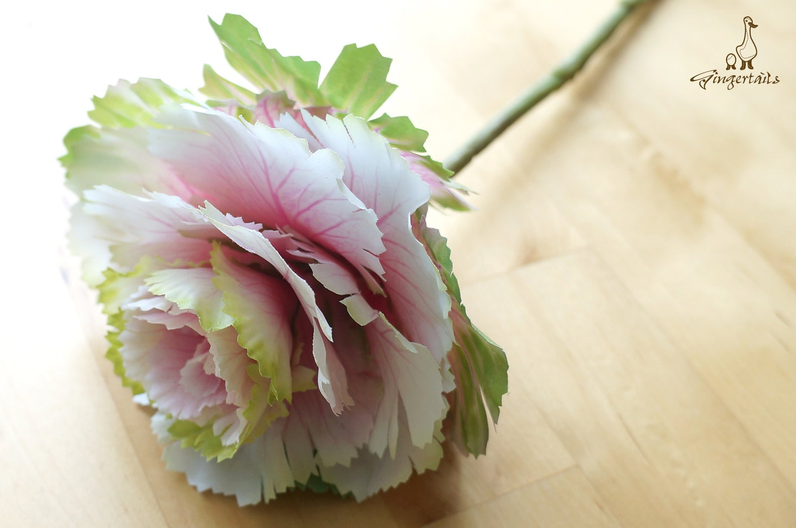Light Green White and Pink Cabbage Flower FB009802 Etsy