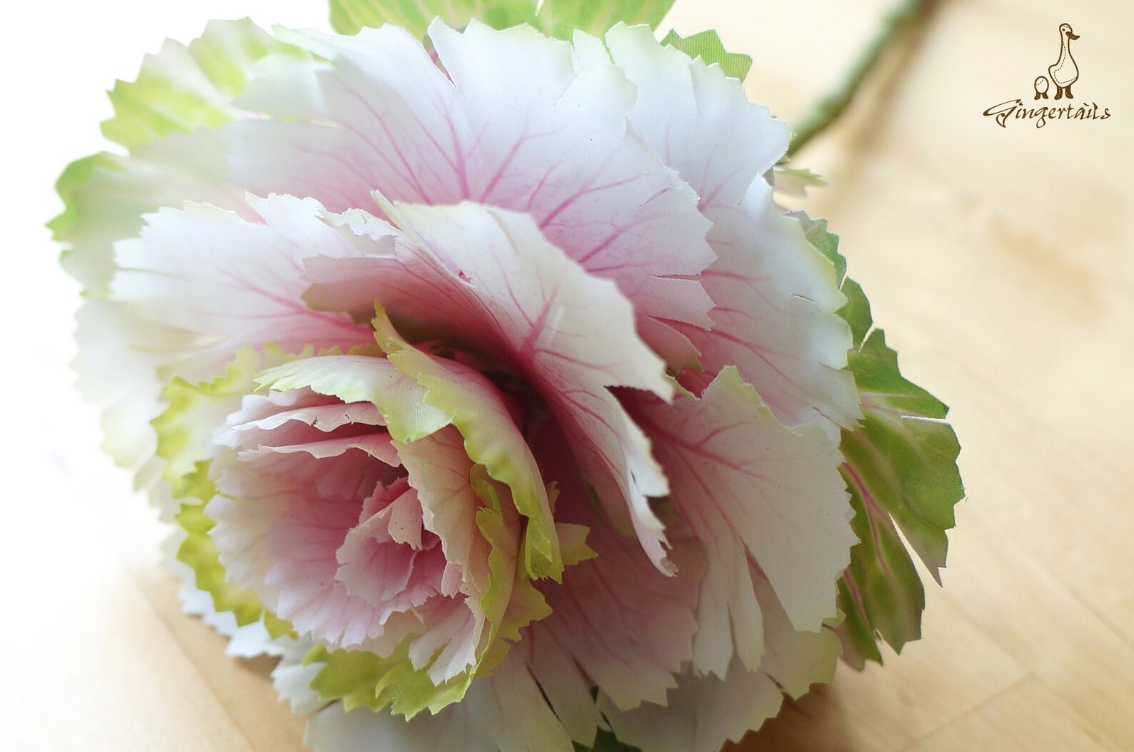 Light Green White and Pink Cabbage Flower FB009802 Etsy