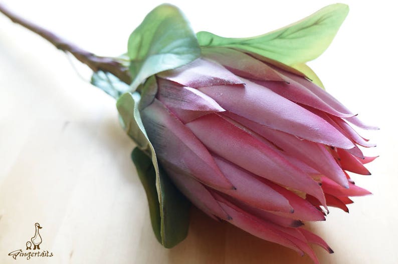 Large Pink Protea FB007602 artificial flower flower Etsy