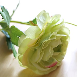 3 12 Stems Apple Green Yellow and Hot Pink Ranunculus image 3