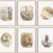see more listings in the Beatrix Potter Prints section