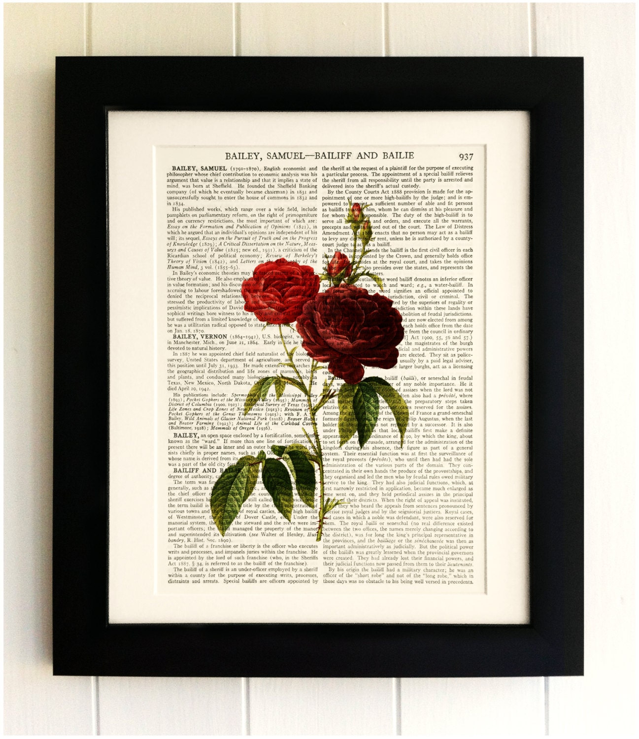ART PRINT on Old Antique Book Page Red Rose Botanical