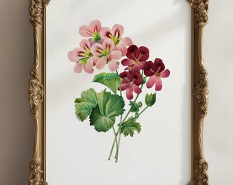 Lámina floral vintage, tamaño A4, *SIN MARCO* Fabulosa obra de arte vintage para pared, botánica, flores silvestres