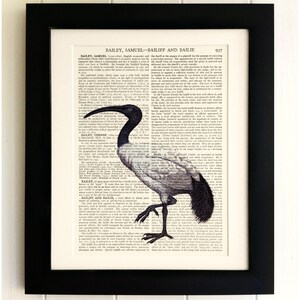 ART PRINT on old antique book page - Vintage Bird, Vintage Upcycled Wall Art Print, Encyclopaedia Dictionary Page, Fab Gift!