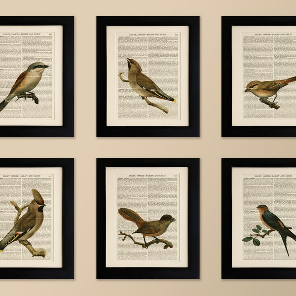 Set of 6 Art Prints on old antique book page - Garden Birds, Vintage Wall Art Print Encyclopaedia Dictionary Page