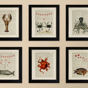 Set of 6 Art Prints on old antique book page - Sea Creatures, Lobster, Octopus, Bunting Vintage Wall Art Print Encyclopaedia Dictionary Page