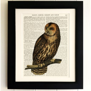 ART PRINT on old antique book page - Owl, Vintage Upcycled Wall Art Print, Encyclopaedia Dictionary Page, Fab Gift!