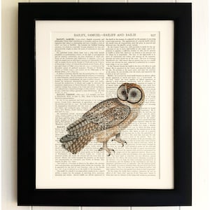 ART PRINT on old antique book page - Owl, Vintage Upcycled Wall Art Print, Encyclopaedia Dictionary Page, Fab Gift!