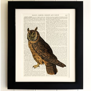 ART PRINT on old antique book page - Owl, Vintage Upcycled Wall Art Print, Encyclopaedia Dictionary Page, Fab Gift!