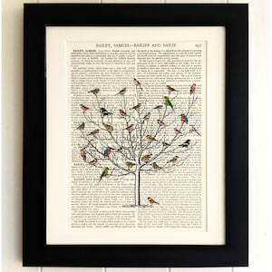 ART PRINT on old antique book page - Bird in Short Tree, Vintage Upcycled Wall Art Print, Encyclopaedia Dictionary Page, Fab Gift!