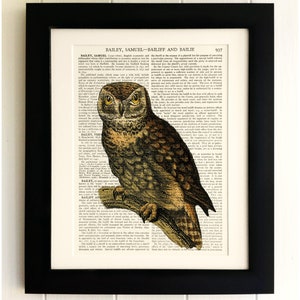 ART PRINT on old antique book page - Owl, Vintage Upcycled Wall Art Print, Encyclopaedia Dictionary Page, Fab Gift!