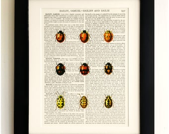 ART PRINT on old antique book page - 9 Labybirds/Ladybugs, Vintage Upcycled Wall Art Print, Encyclopaedia Dictionary Page, Fab Gift!