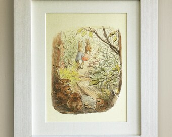 Beatrix Potter The Tale Of Peter Rabbit Tirelire