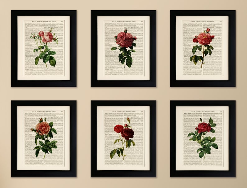 petal dictionary
