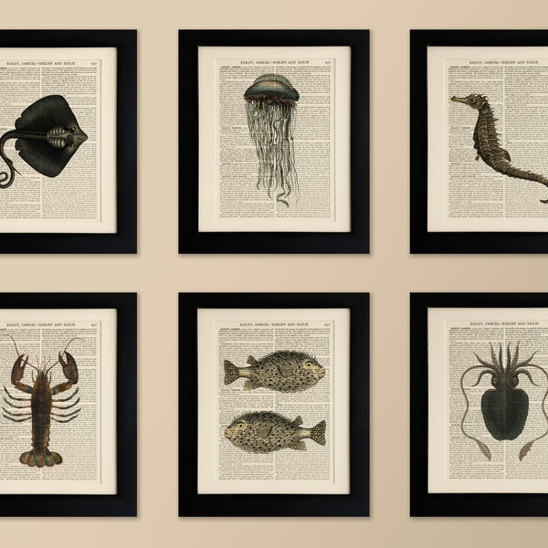 Set van 6 Kunst Prints op oude antieke boek pagina - Zee wezens, Vintage Wall Art Print Encyclopedie Woordenboek Pagina