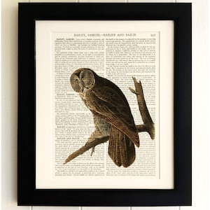 ART PRINT on old antique book page - Owl, Vintage Upcycled Wall Art Print, Encyclopaedia Dictionary Page, Fab Gift!