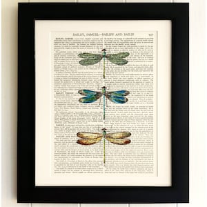 ART PRINT op oude antieke boek pagina - 3 Libellen, Vintage Upcycled Wall Art Print, Encyclopedie Woordenboek Pagina, Fab Gift!