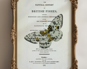 Vintage Style Butterfly Print, Book Page, A4, Fabulous vintage wall art