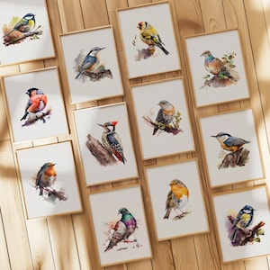 Set of 12 Watercolour Garden Birds Prints, Bedroom, Living Room, Unframed Prints