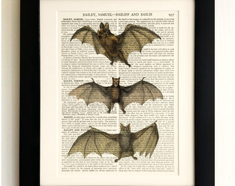 ART PRINT on old antique book page - Three Bats, Vintage Upcycled Wall Art Print, Encyclopaedia Dictionary Page, Fab Gift!
