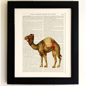 ART PRINT on old antique book page - Camel, Vintage Upcycled Wall Art Print, Encyclopaedia Dictionary Page, Fab Gift!