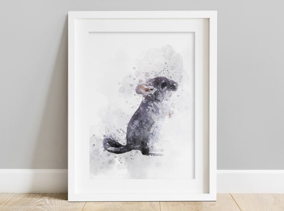 Chinchilla Wall Art, Watercolour Print, Illustration, A4
